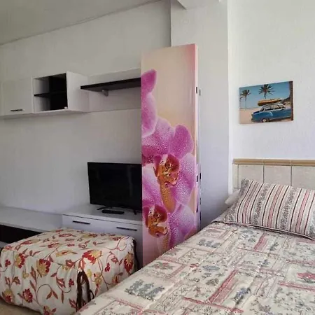 A&n Gabarra 2 Torre Del Mar